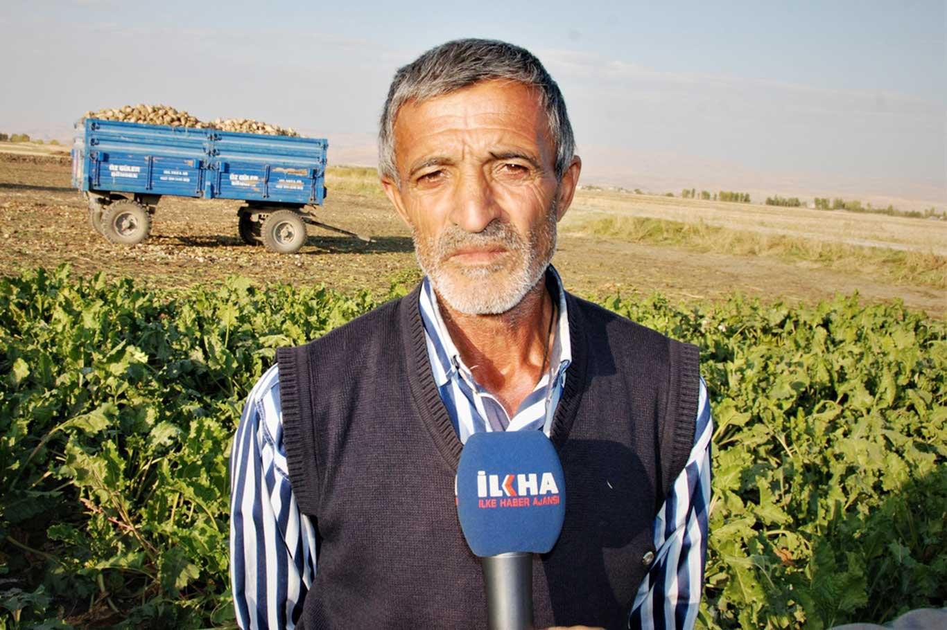 Şeker pancarı üreticileri fiyat ve hasattan memnun